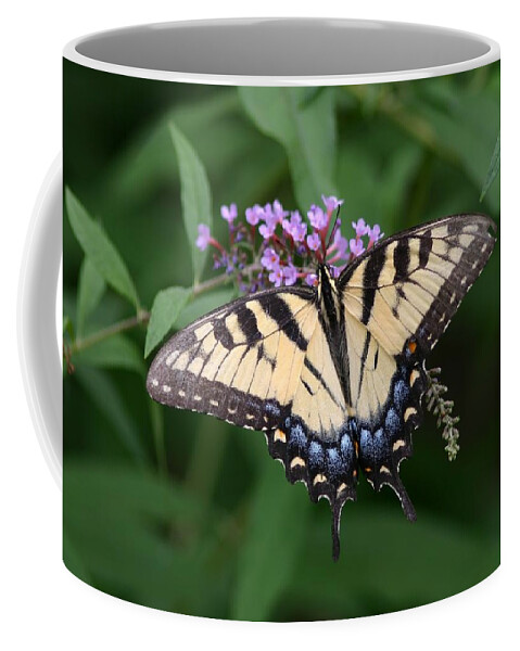 Butterfly Coffee Mug featuring the photograph Tiger Swallowtail on Butterfly Bush #2 by Robert E Alter Reflections of Infinity
