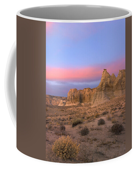 Feb0514 Coffee Mug featuring the photograph Toadstool Caprocks Grand Staircase #2 by Tim Fitzharris