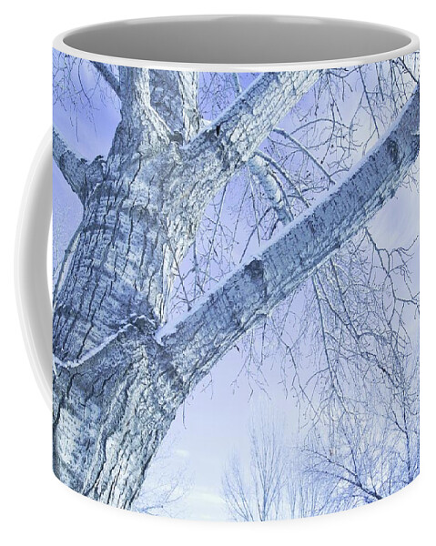 Bark Coffee Mug featuring the photograph Trees In Winter #2 by Don Hammond