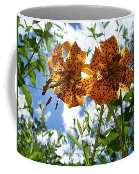 Flower Coffee Mug featuring the photograph Two Tigers 'n' Sky #2 by Jamie Johnson