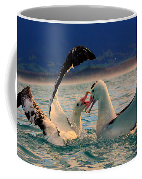 Wandering Albatross Coffee Mug featuring the photograph Wandering Albatross #2 by Amanda Stadther