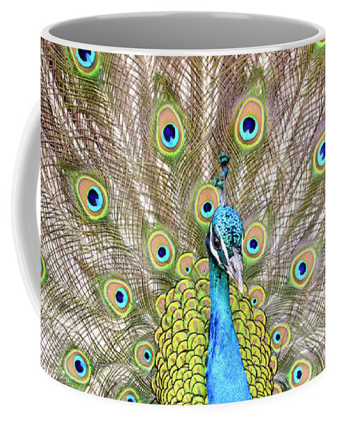 Male Peacock Coffee Mug featuring the photograph Peacock by Crystal Wightman