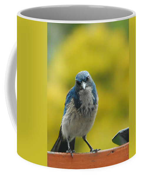 Bird Coffee Mug featuring the photograph What Did You Say #2 by Donna Blackhall