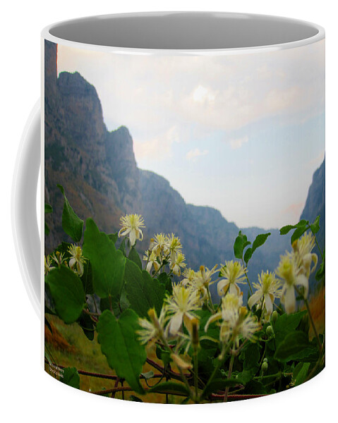 Alexandros Daskalakis Coffee Mug featuring the photograph Wild Flowers and Mountains #3 by Alexandros Daskalakis