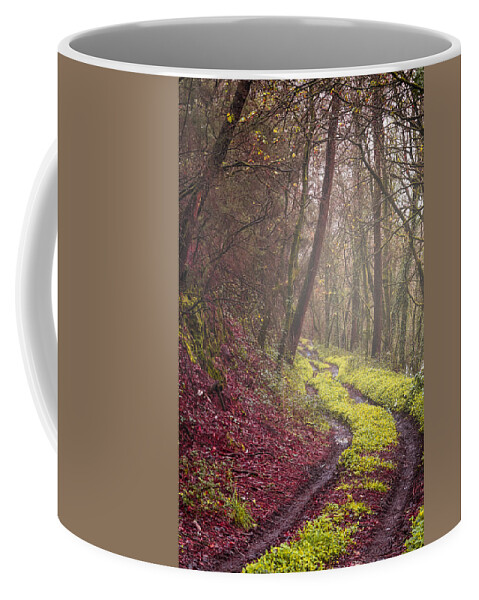 Autumn Coffee Mug featuring the photograph Winter landscape #2 by Paulo Goncalves