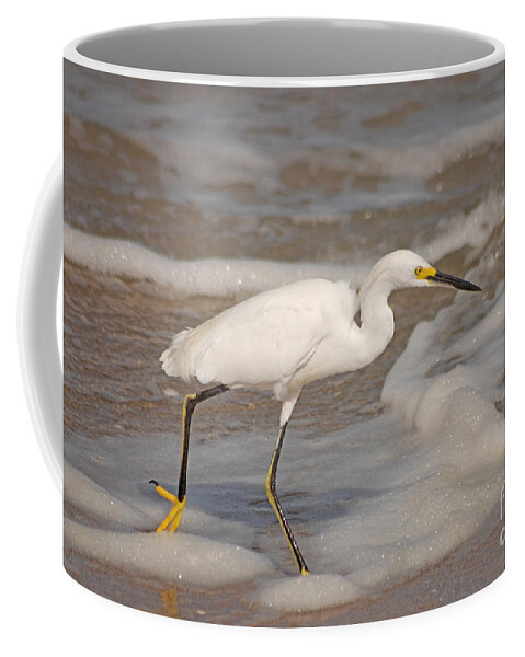 Snowy Egret Coffee Mug featuring the photograph 22- Snowy Egret by Joseph Keane