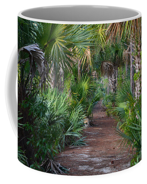 Grassy Waters Preserve Coffee Mug featuring the photograph 24- Everglades Trail by Joseph Keane