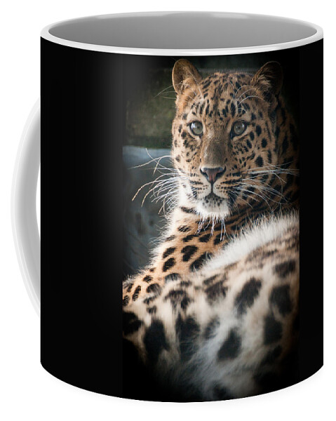 Animal Coffee Mug featuring the photograph Amur Leopard by Chris Boulton