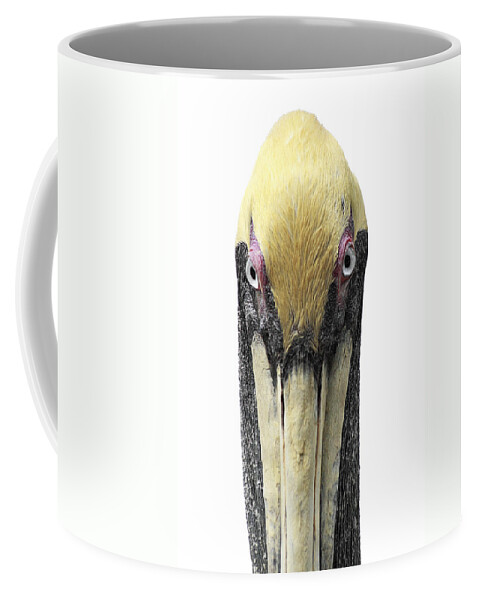 Pelican Coffee Mug featuring the photograph Brown Pelican-2 by Rudy Umans