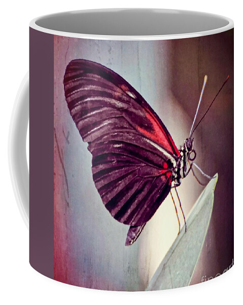Butterfly Coffee Mug featuring the photograph Butterfly #2 by Savannah Gibbs