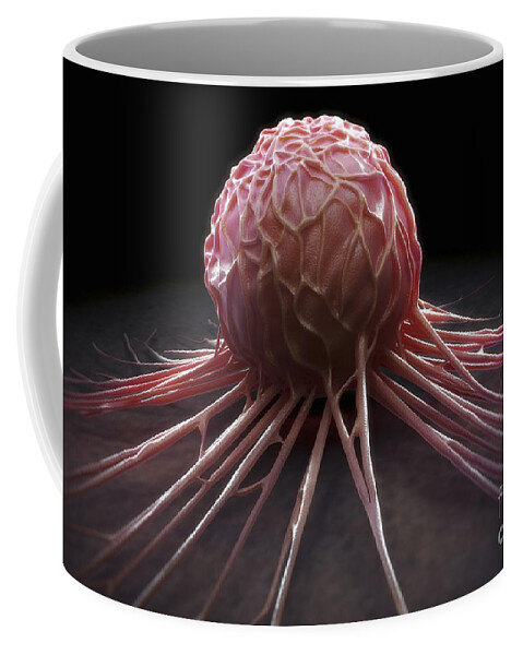 Cells Coffee Mug featuring the photograph Cancer Cell #3 by Science Picture Co