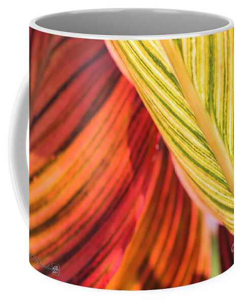 Mccombie Coffee Mug featuring the photograph Canna Lily named Durban #1 by J McCombie