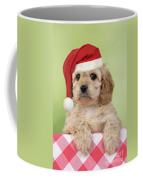 Dog Coffee Mug featuring the photograph Cockapoo Puppy Dog #3 by John Daniels