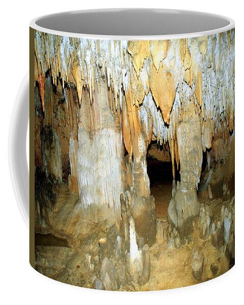Florida Caverns State Park Coffee Mug featuring the photograph Florida Caverns State Park #3 by Millard H. Sharp