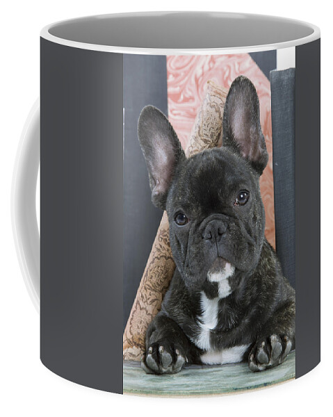 Dog Coffee Mug featuring the photograph French Bulldog Puppy #3 by Jean-Michel Labat