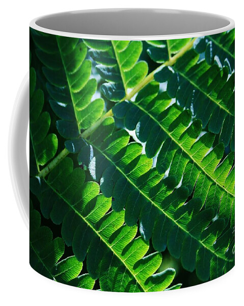 Fern Coffee Mug featuring the photograph Leaves of Green by Neal Eslinger