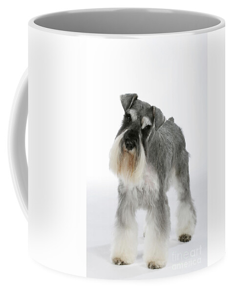Dog Coffee Mug featuring the photograph Miniature Schnauzer by John Daniels