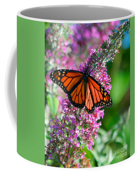 Butterfly Coffee Mug featuring the photograph Monarch Butterfly #3 by Mark Dodd