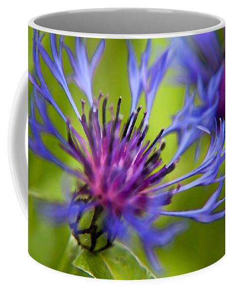 Flower Coffee Mug featuring the photograph Mountain Coneflower #3 by Theresa Tahara