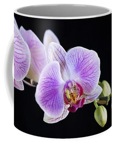 Orchid Coffee Mug featuring the photograph Pink Orchid flower by Michalakis Ppalis