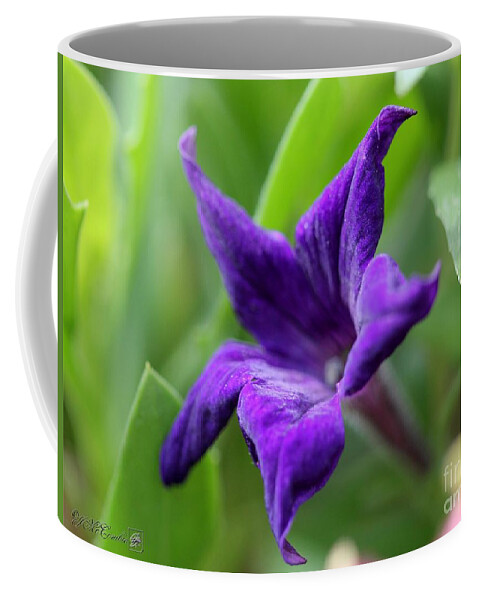 Mccombie Coffee Mug featuring the photograph Petunia Hybrid from the Sparklers Mix #2 by J McCombie