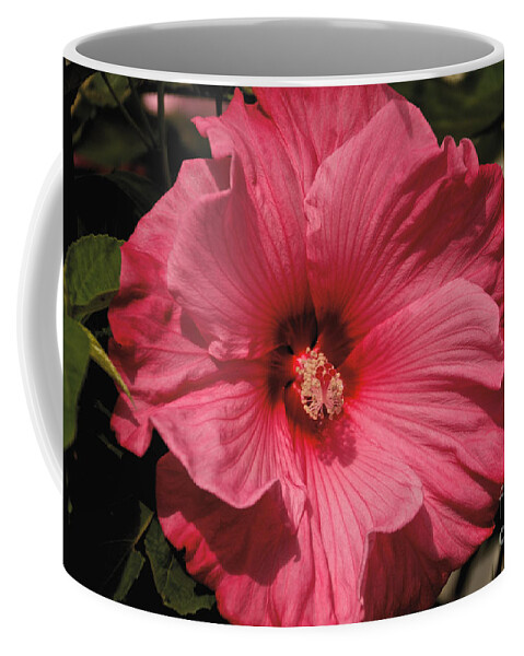 Tree Coffee Mug featuring the photograph Pink #3 by William Norton