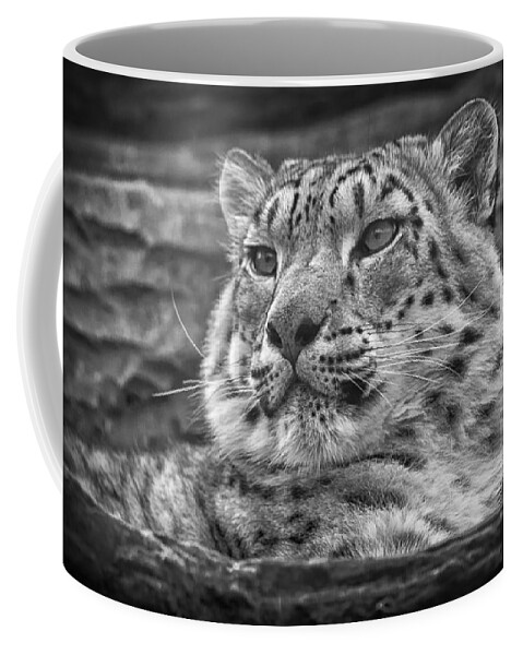 Marwell Coffee Mug featuring the photograph Snow Leopard by Chris Boulton