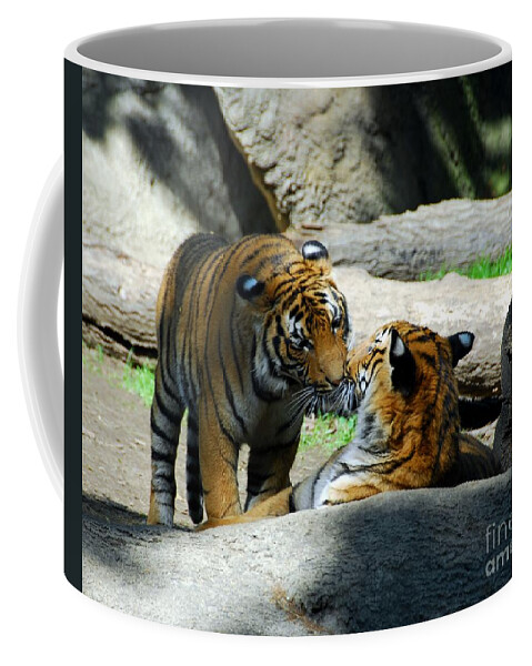 Tiger Love Coffee Mug featuring the photograph Tiger Love 2 by Mel Steinhauer