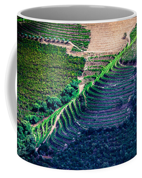 Vineyard Coffee Mug featuring the photograph Vineyard #1 by Edgar Laureano