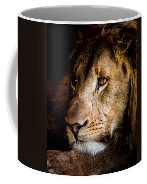 Lion Coffee Mug featuring the photograph Waiting #3 by Ernest Echols