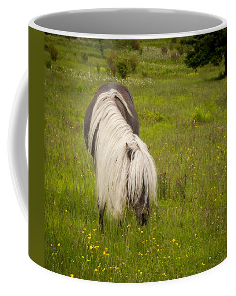 Appalachian Trail Coffee Mug featuring the photograph Wild Horses by Joye Ardyn Durham