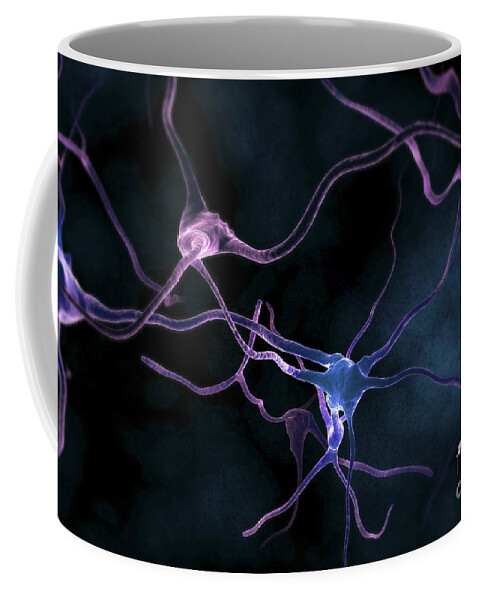 Biomedical Illustration Coffee Mug featuring the photograph Neurons #33 by Science Picture Co