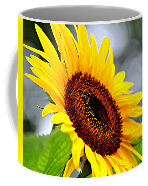 Sunflower Coffee Mug featuring the photograph 3528 by Marty Koch