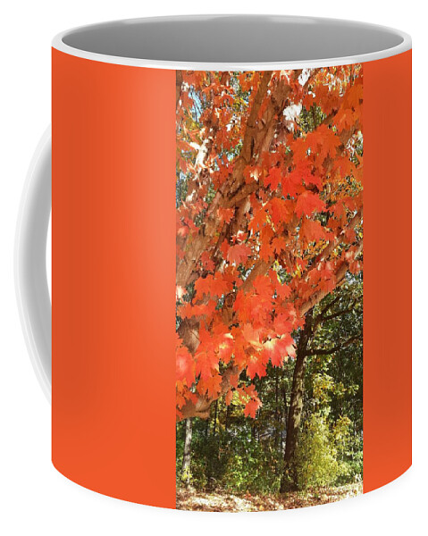 Fall Coffee Mug featuring the photograph Fall Explosion of Color #38 by Kenny Glover