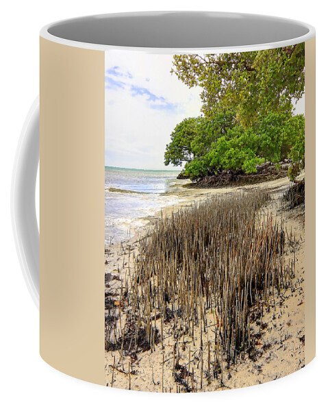 Florida Coffee Mug featuring the photograph Anne's Beach-2 by Rudy Umans