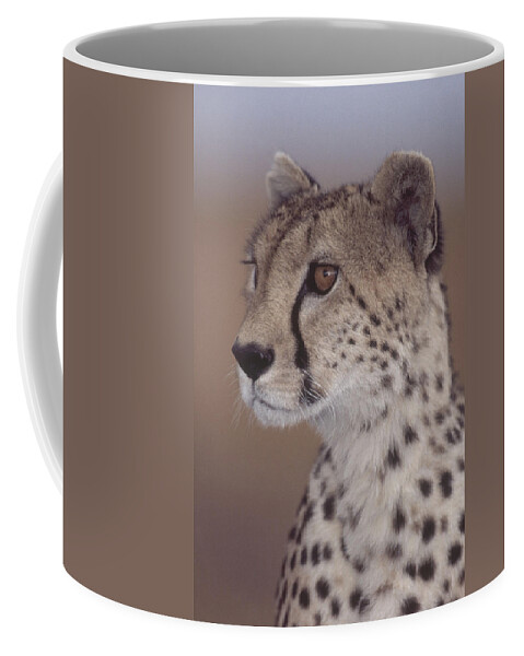 Acinonyx Coffee Mug featuring the photograph Cheetah #4 by Charles Angelo