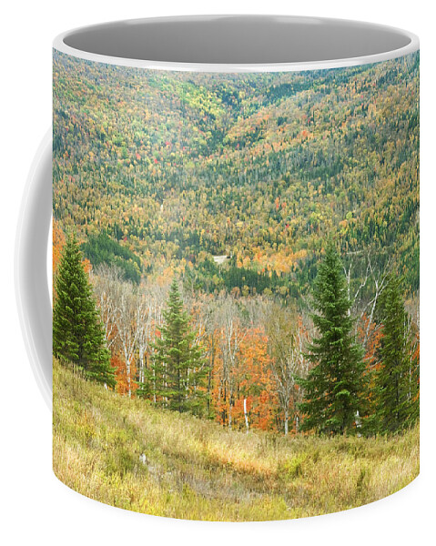 Landscape Coffee Mug featuring the photograph Colorful Fall Forest Near Rangeley Maine #4 by Keith Webber Jr