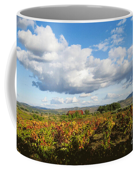 Nature Coffee Mug featuring the photograph Douro River Valley #4 by Arlene Carmel