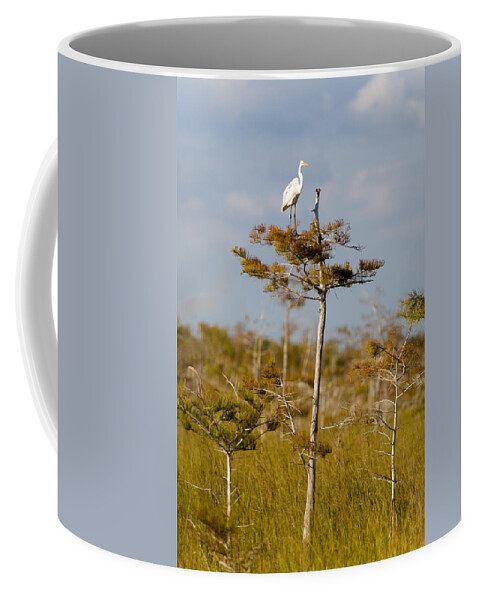 Egret Coffee Mug featuring the photograph Great White Egret by Raul Rodriguez