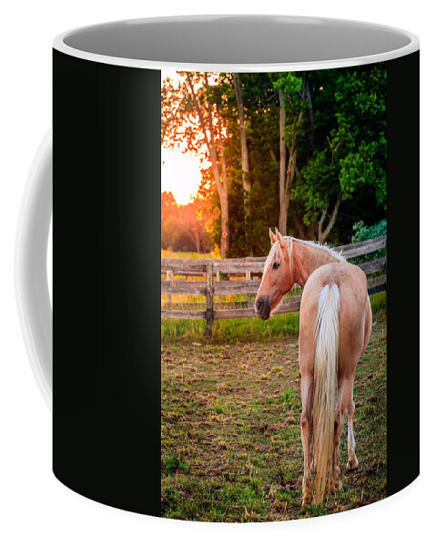 Bluegrass Coffee Mug featuring the photograph Horse on a farm #4 by Alexey Stiop
