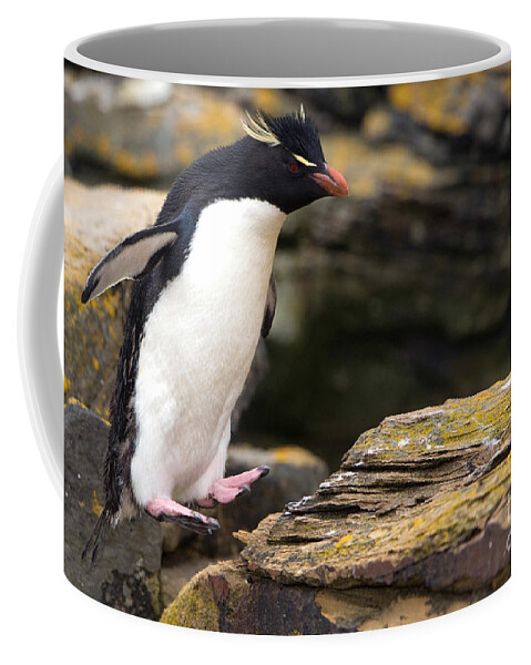 Southern Rockhopper Penguin Coffee Mug featuring the photograph Rockhopper Penguin #4 by John Shaw