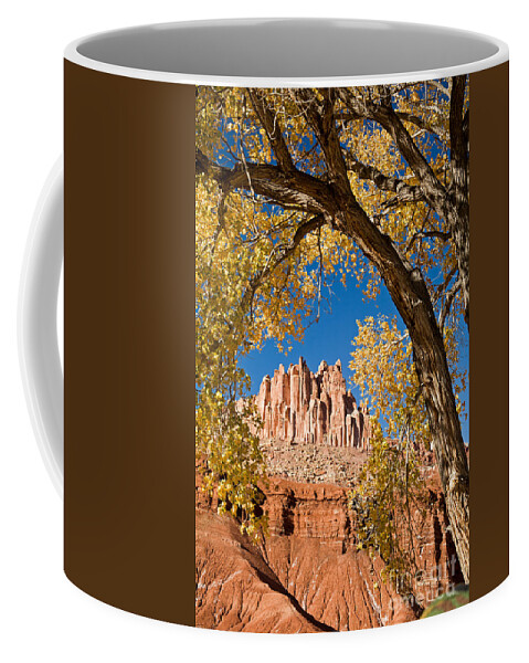 Afternoon Coffee Mug featuring the photograph The Castle Capitol Reef National Park #4 by Fred Stearns