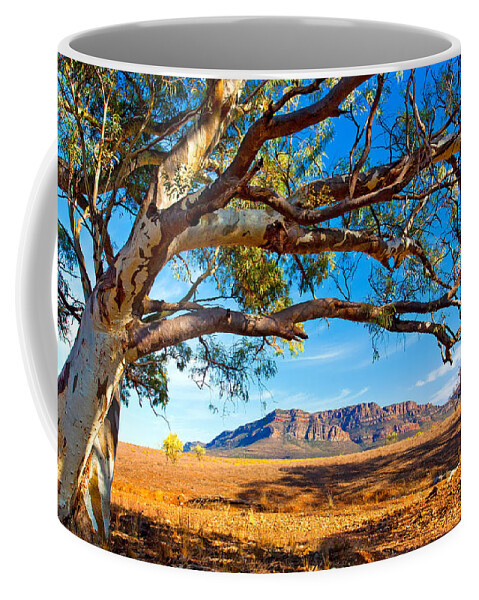 Wilpena Pound Flinders Ranges South Australia Outback Landscape Coffee Mug featuring the photograph Wilpena Pound by Bill Robinson