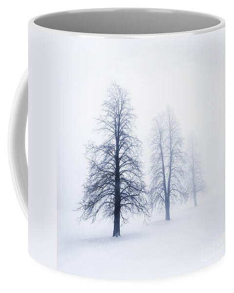 Trees Coffee Mug featuring the photograph Winter trees in fog 6 by Elena Elisseeva