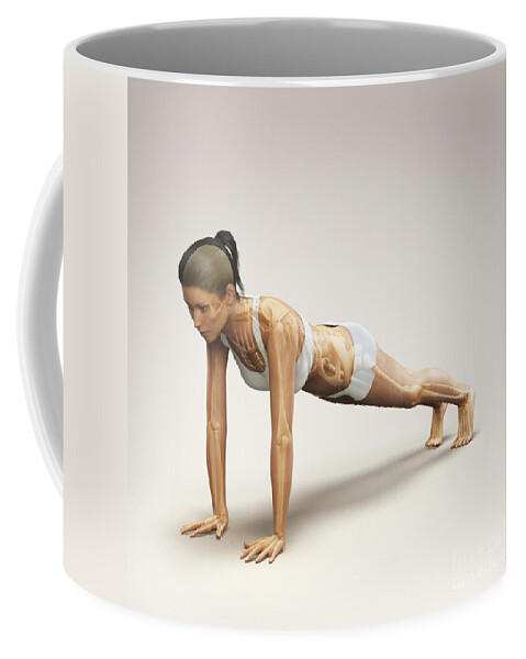 Digitally Generated Image Coffee Mug featuring the photograph Yoga Plank Pose #4 by Science Picture Co