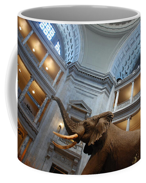 Bull Elephant Coffee Mug featuring the photograph Bull Elephant in Natural History Rotunda by Kenny Glover