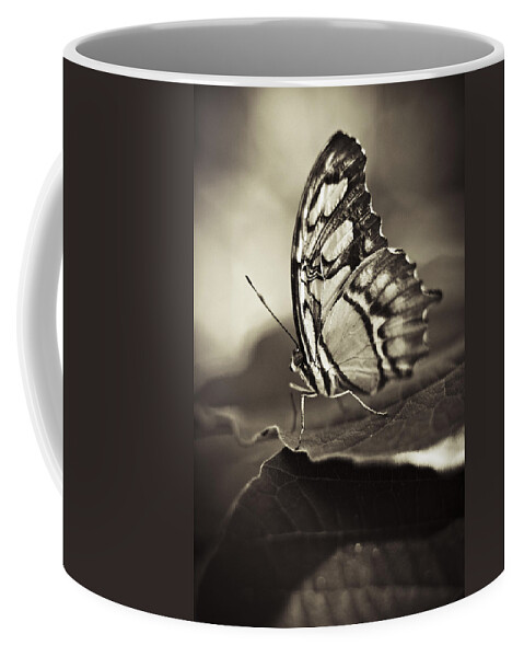 Butterfly Coffee Mug featuring the photograph Butterfly Brown Tone #5 by Bradley R Youngberg