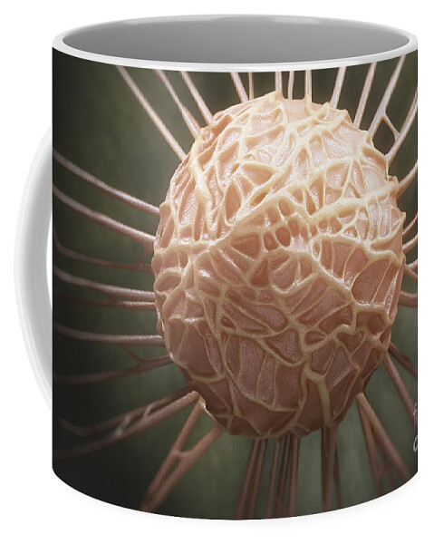 Cells Coffee Mug featuring the photograph Cancer Cell #5 by Science Picture Co