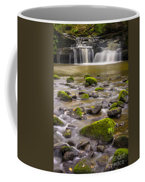 Airedale Coffee Mug featuring the photograph Goit Stock Waterfall by Mariusz Talarek