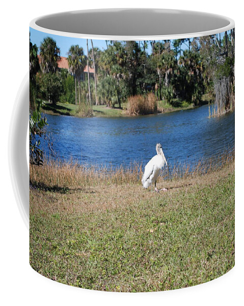 Passing Time Coffee Mug featuring the photograph Great white heron #5 by Robert Floyd